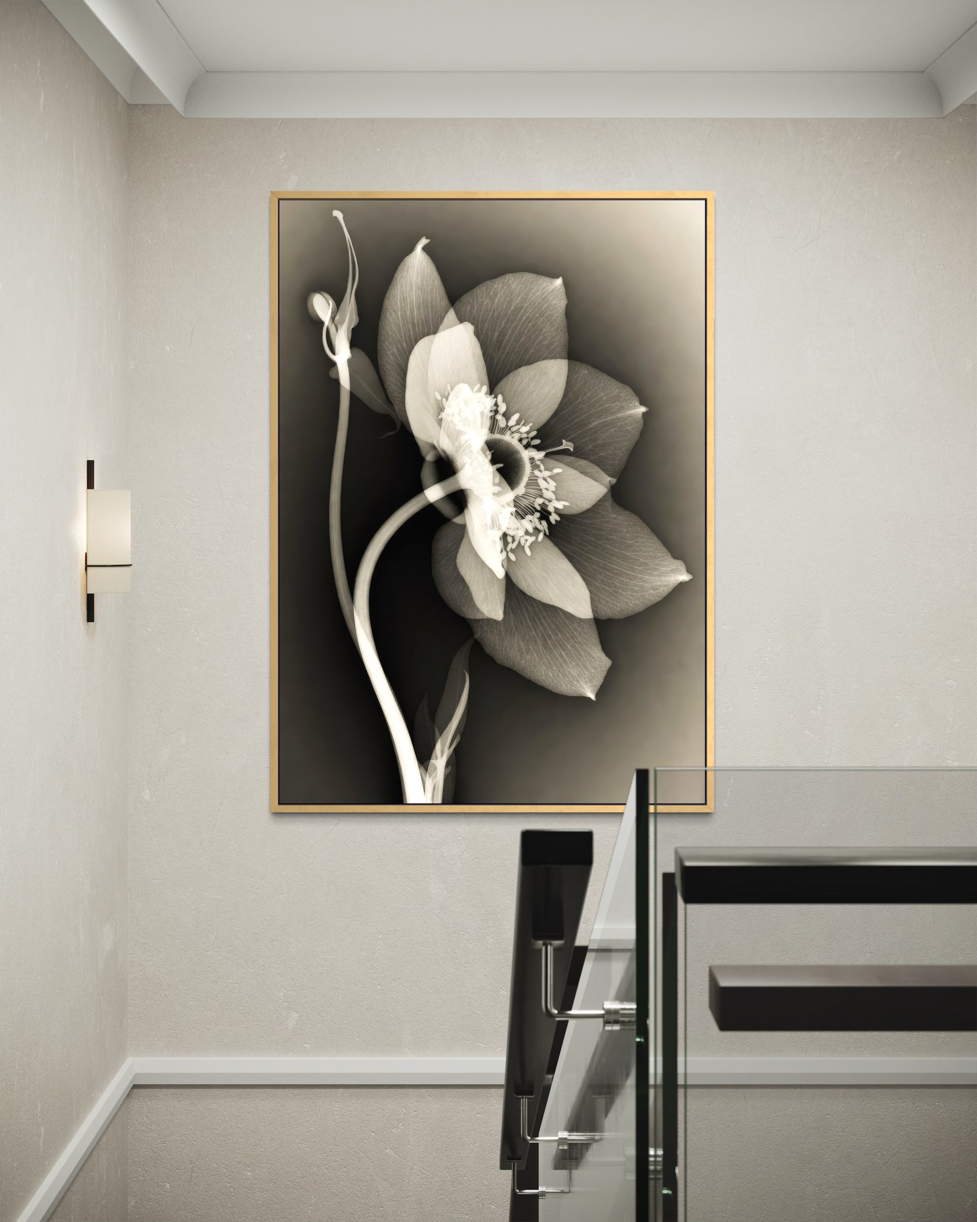 Anima Botanica con cornice oro, fiore bianco su sfondo scuro