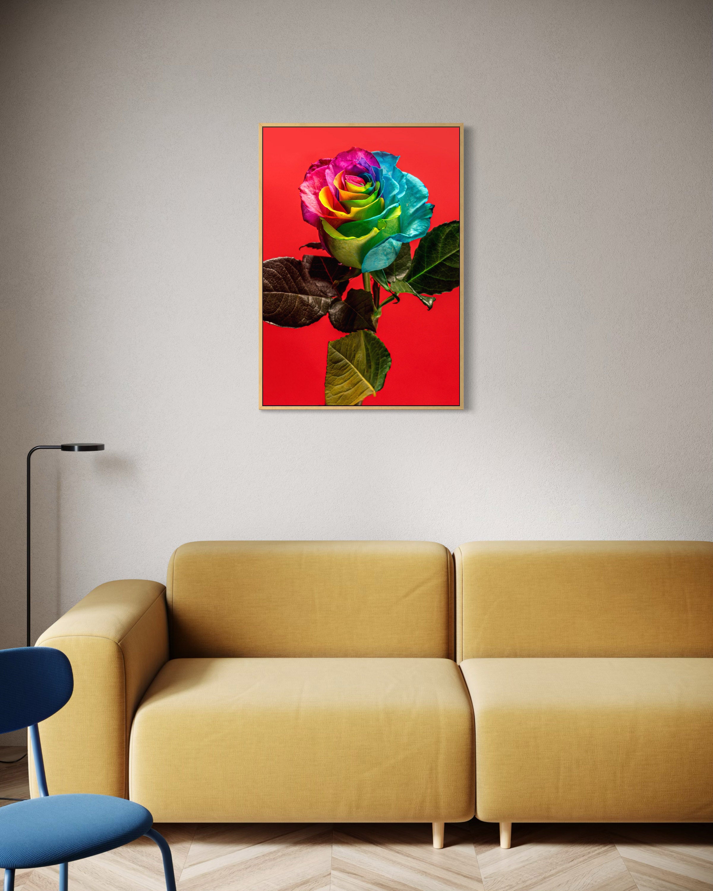Stampa incorniciata con rosa arcobaleno su sfondo rosso, cornice scura